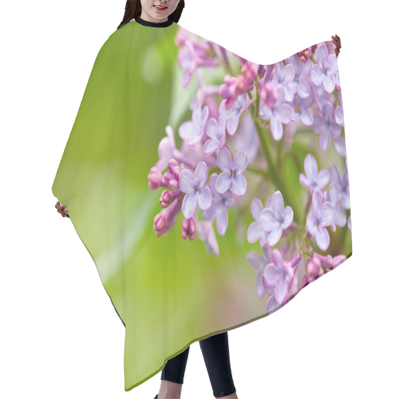 Personality  Beautiful Lilac Flowers. Hair Cutting Cape