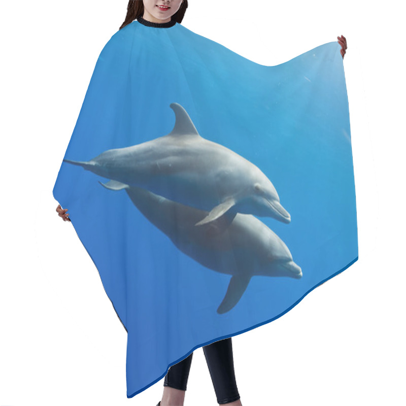 Personality  Dolphins Underwater Hair Cutting Cape