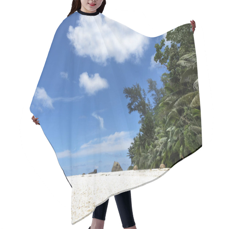 Personality  Hermit Crab Crawling On Sandy Beach , Silhouette Island, Seychelles Hair Cutting Cape