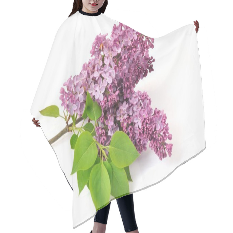 Personality   Lilac Blossoms   Hair Cutting Cape