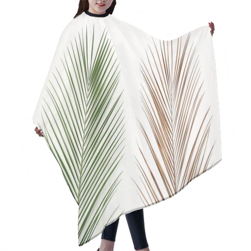 Personality  Tropical Date Palm Leaves On White Background, Top View Hair Cutting Cape