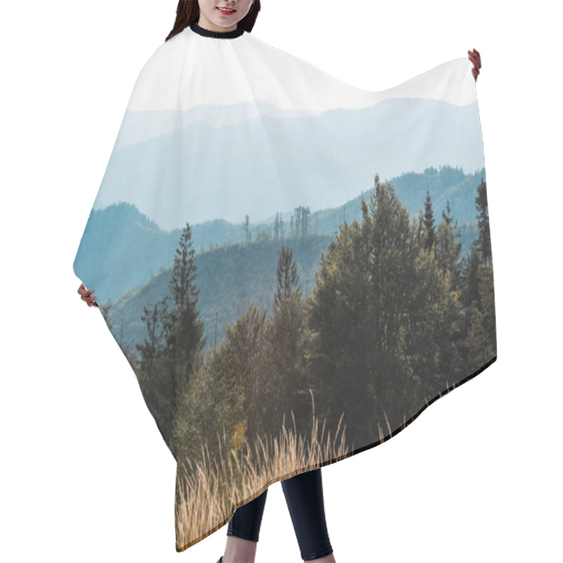 Personality  Scenic Blue Silhouette Of Mountains Near Golden Field And Fir Trees  Hair Cutting Cape