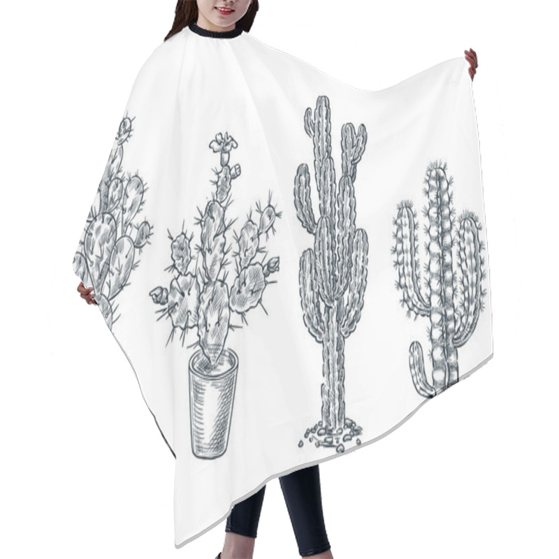 Personality  Cactuses And Succulents Vector Sketch Illustration. Desert Nature Plants, Hand Drawn Print Design Elements Set. Hair Cutting Cape