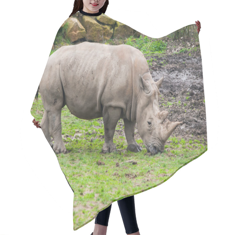 Personality  Black Rhinocero - Diceros Bicornis Hair Cutting Cape