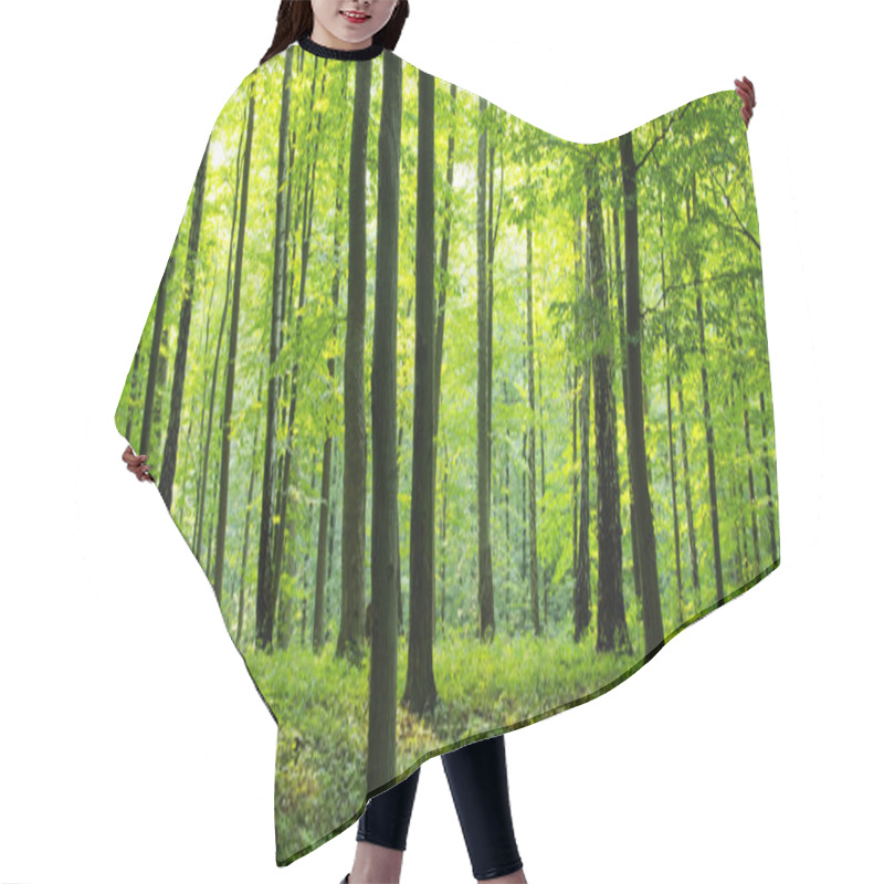 Personality  Forest Hair Cutting Cape