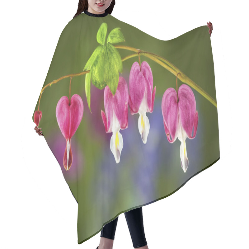 Personality  Beautiful Bleeding Heart Blooms Hair Cutting Cape