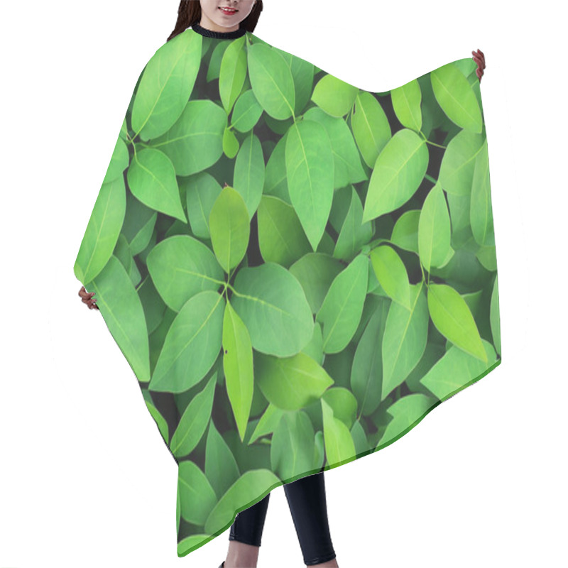 Personality  LeafyPatch: The Perfect Random Leaf Background Collection Hair Cutting Cape