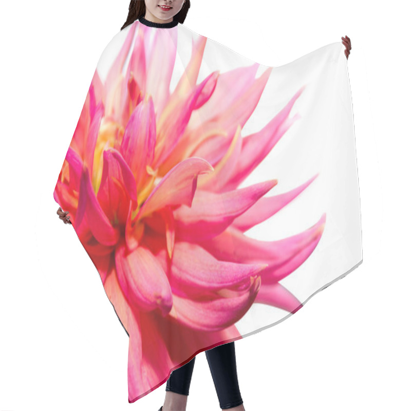 Personality  Pink Dahlai On White Hair Cutting Cape