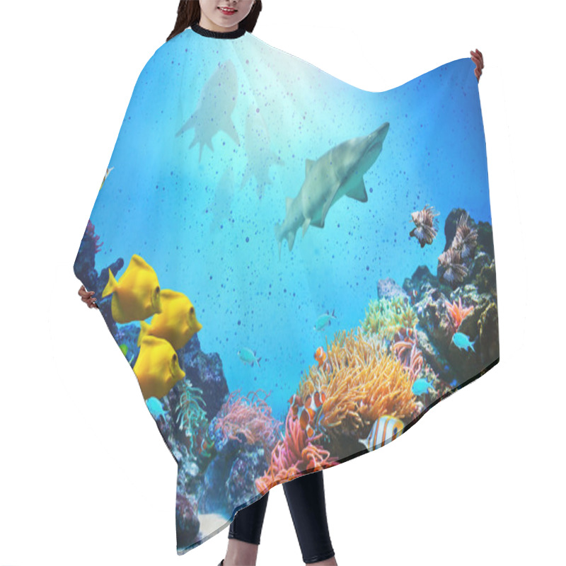 Personality  Underwater Scene. Coral Reef, Fish Groups, Sharks In Clear Ocean Water Hair Cutting Cape