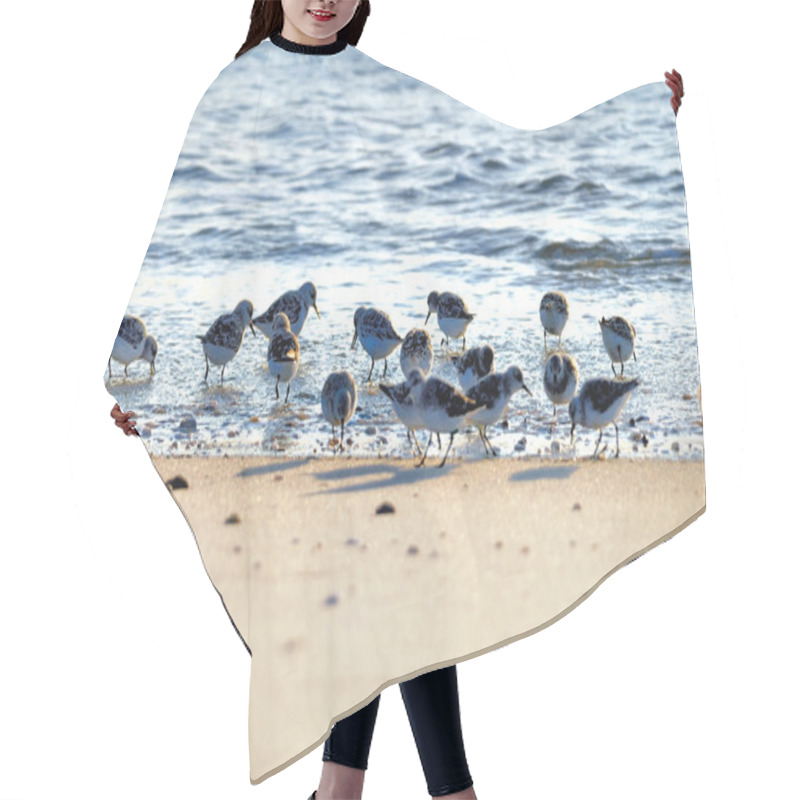 Personality  Sand Pipers Hair Cutting Cape