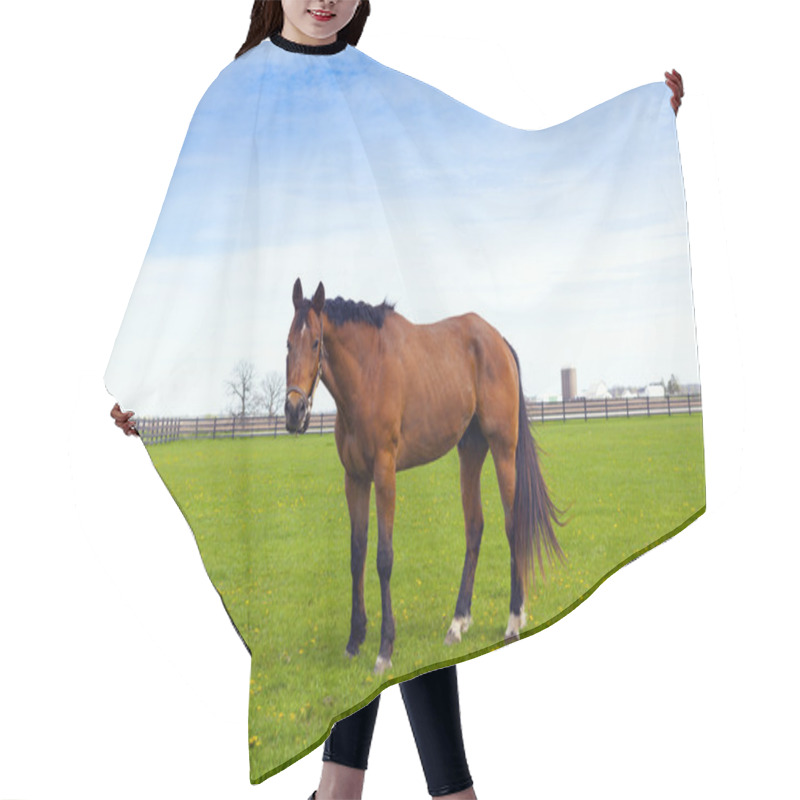 Personality  Brown Horse Hair Cutting Cape