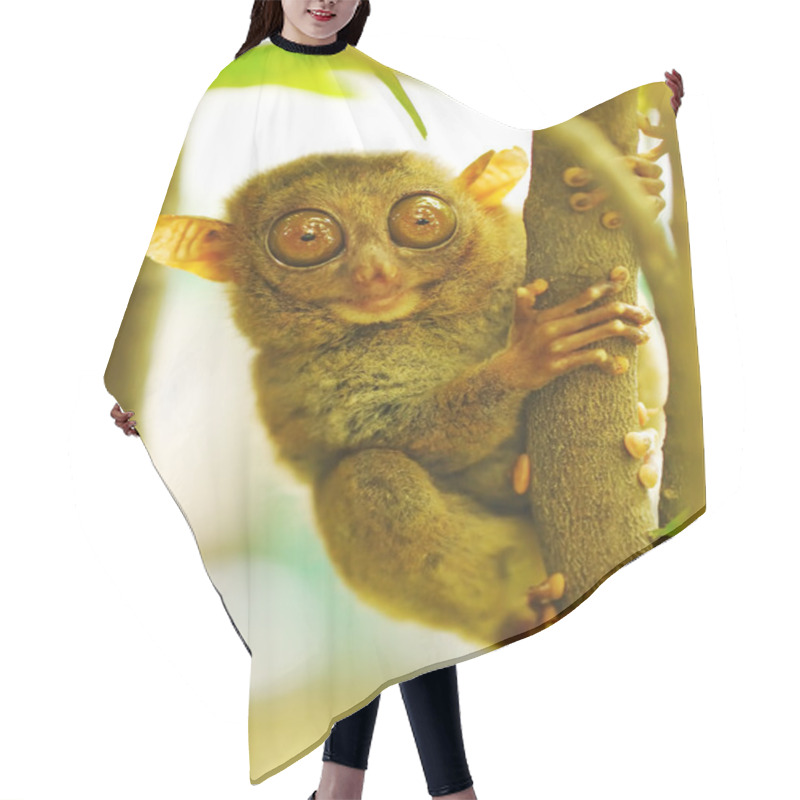 Personality  Tarsier Hair Cutting Cape