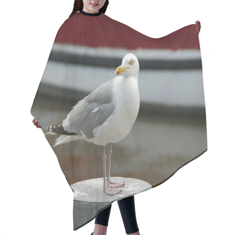 Personality  Seagull On A Metal Pole Hair Cutting Cape