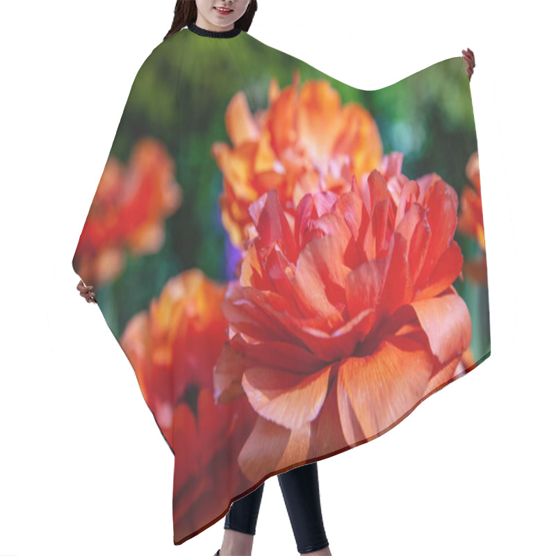 Personality  Ranunculus Hair Cutting Cape