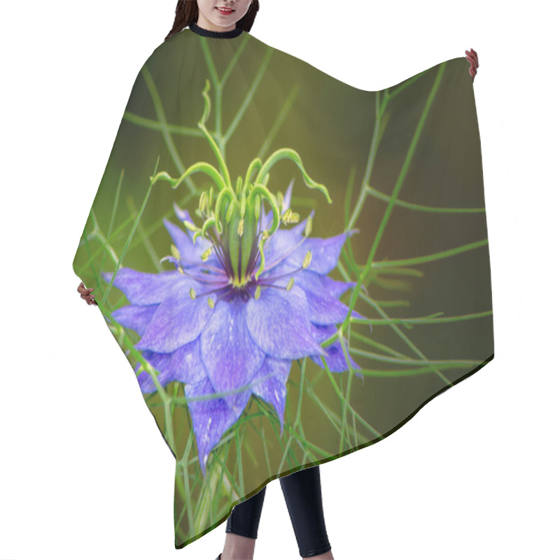 Personality  Blue Nigella Flower Blossom Hair Cutting Cape