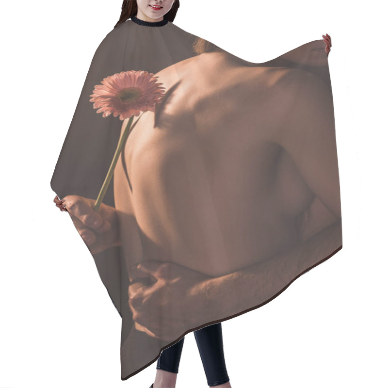 Personality  Cropped View Of Tender Lovers Hugging And Holding Gerbera Flower, Isolated On Brown  Hair Cutting Cape