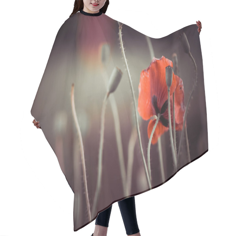 Personality  Poppy Flowers At Summer Sunset Hair Cutting Cape