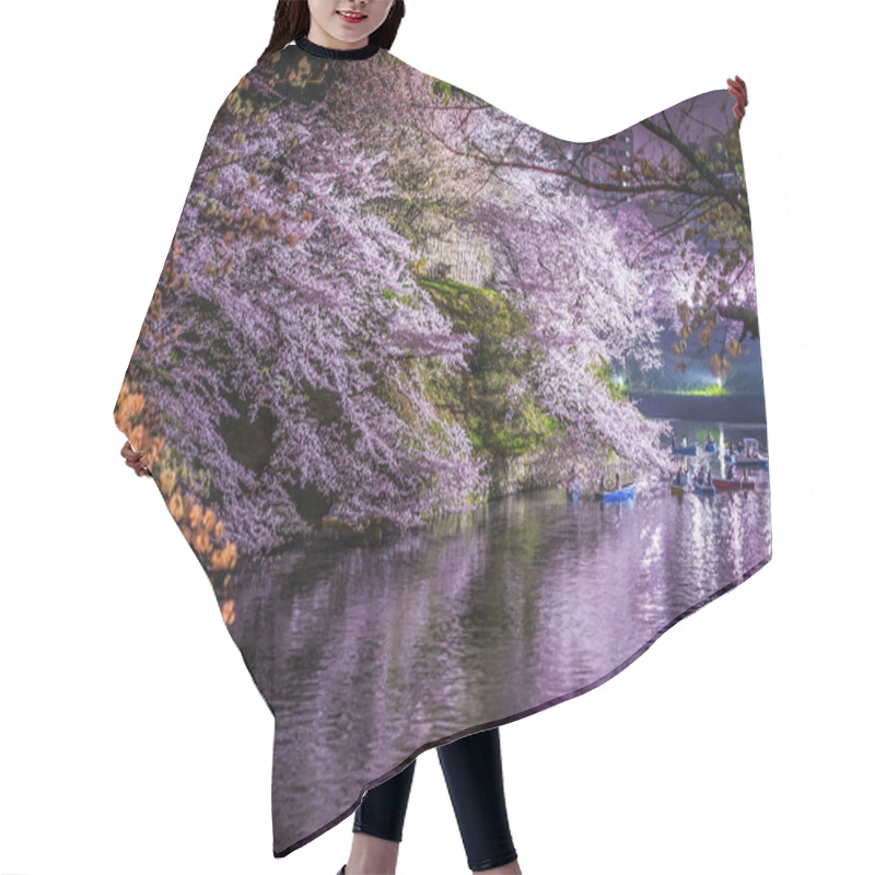 Personality  Of Chidorigafuchi Going To See Cherry Blossoms At Night Hair Cutting Cape