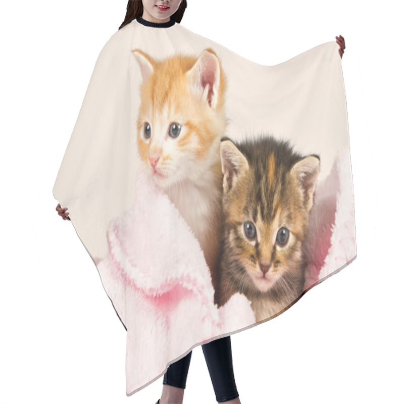 Personality  Two Kittens In A Pink Blanket Hair Cutting Cape