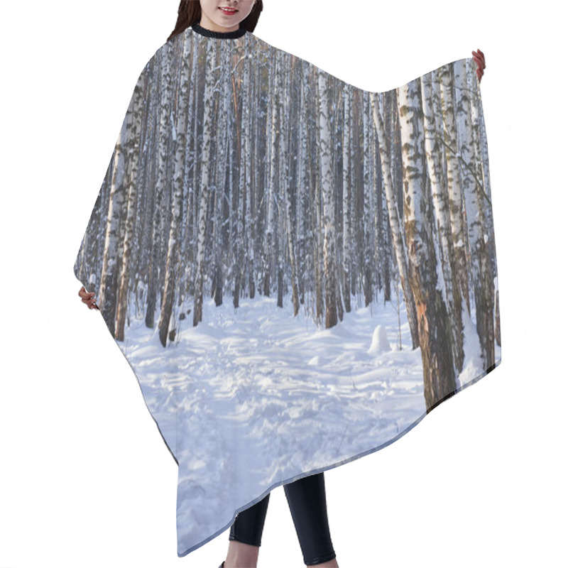 Personality  Winter Birch Grove Hair Cutting Cape