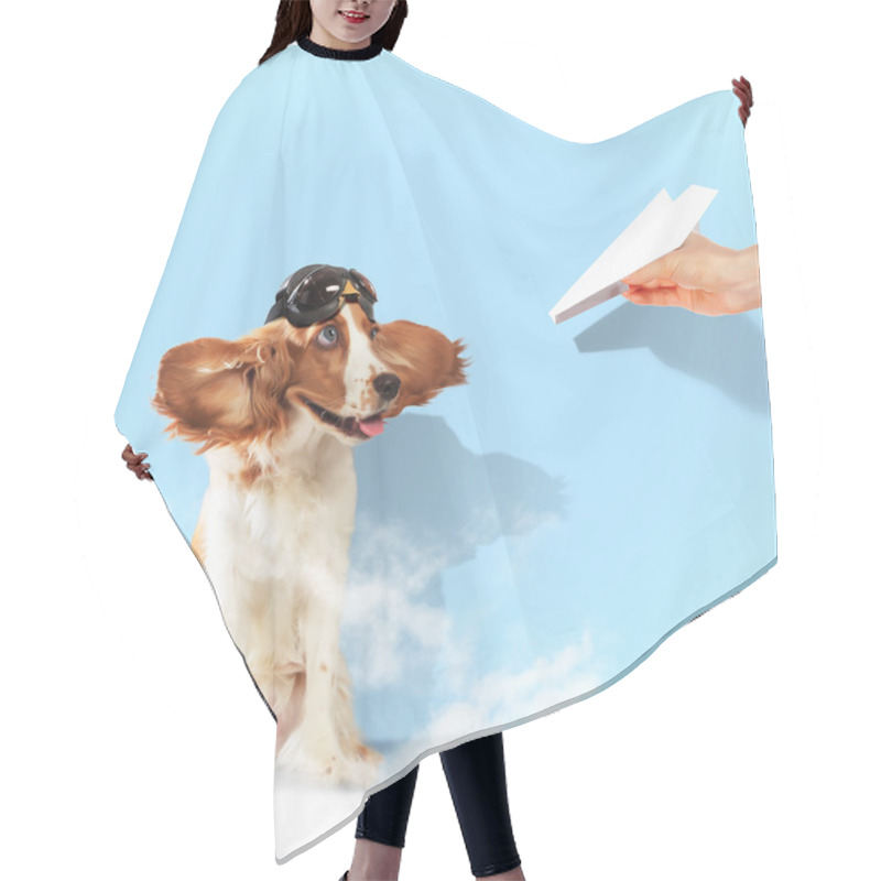 Personality  Funny Spaniel Dog Hair Cutting Cape