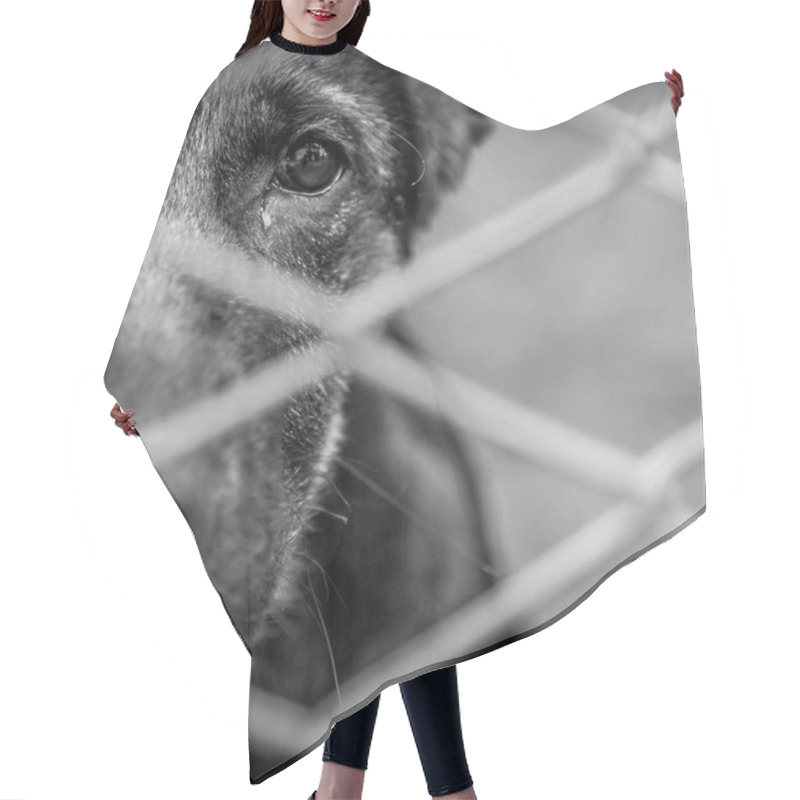 Personality  Abandoned Dog Hair Cutting Cape