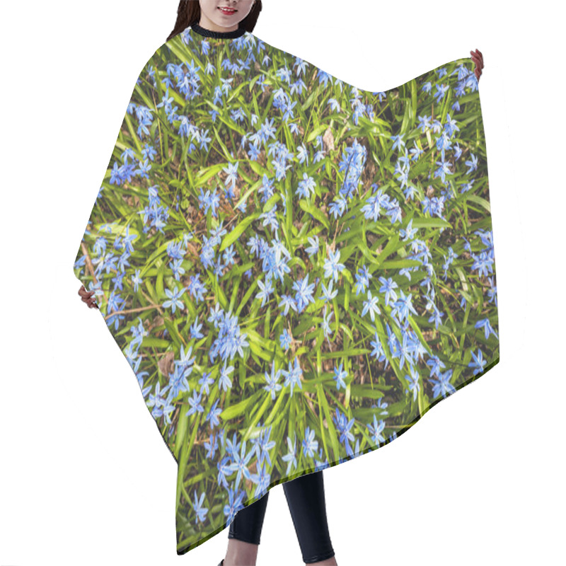 Personality  Spring Blue Flowers Glory-of-the-snow Hair Cutting Cape