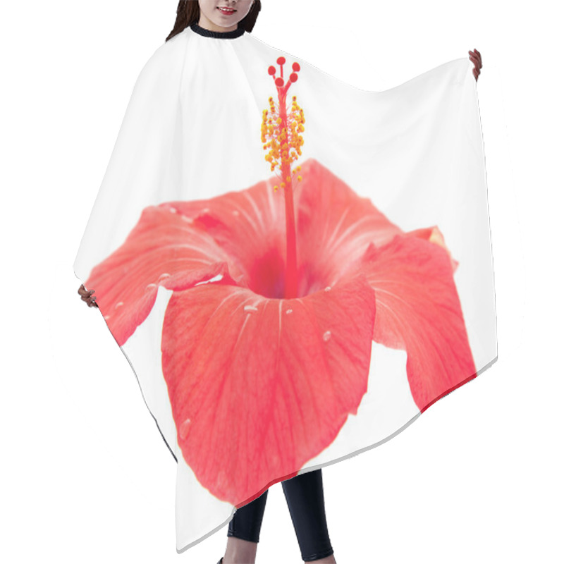 Personality  Red Hibiscus Hair Cutting Cape