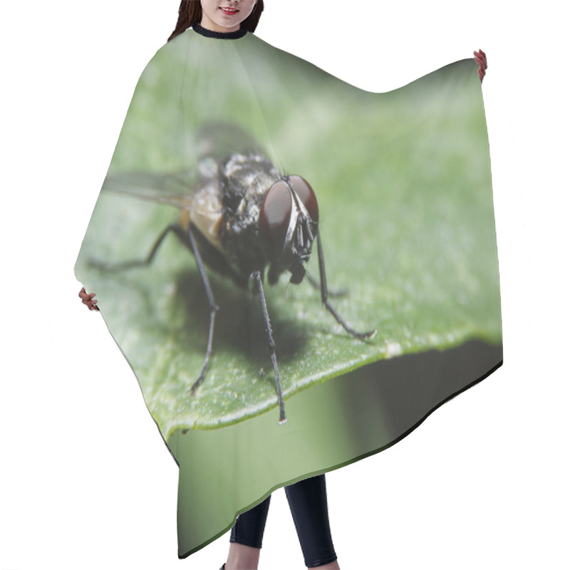 Personality  Macro Flys Hair Cutting Cape