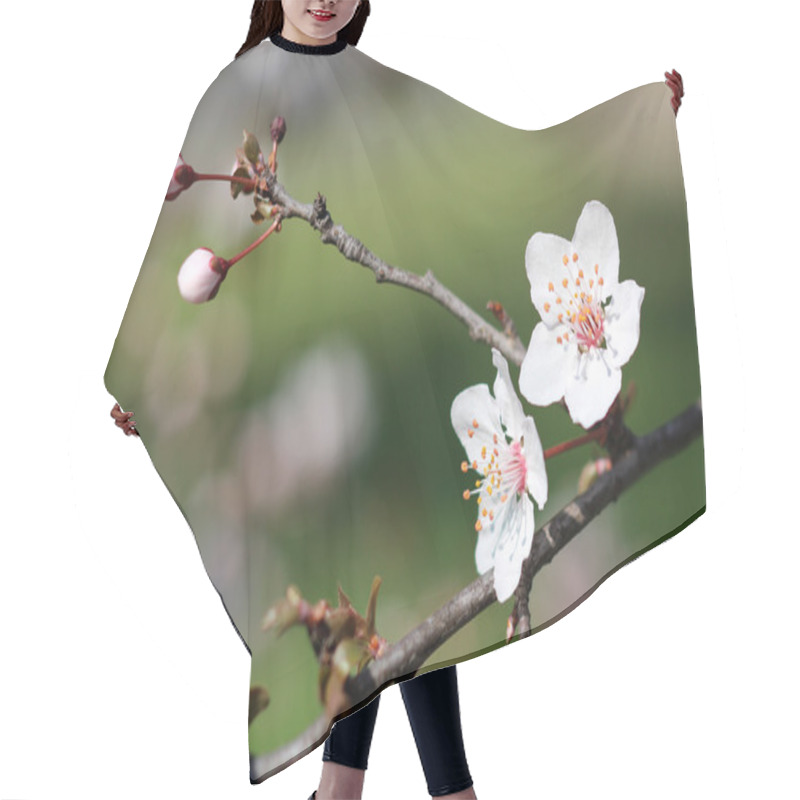 Personality  Spring Blossoms Hair Cutting Cape