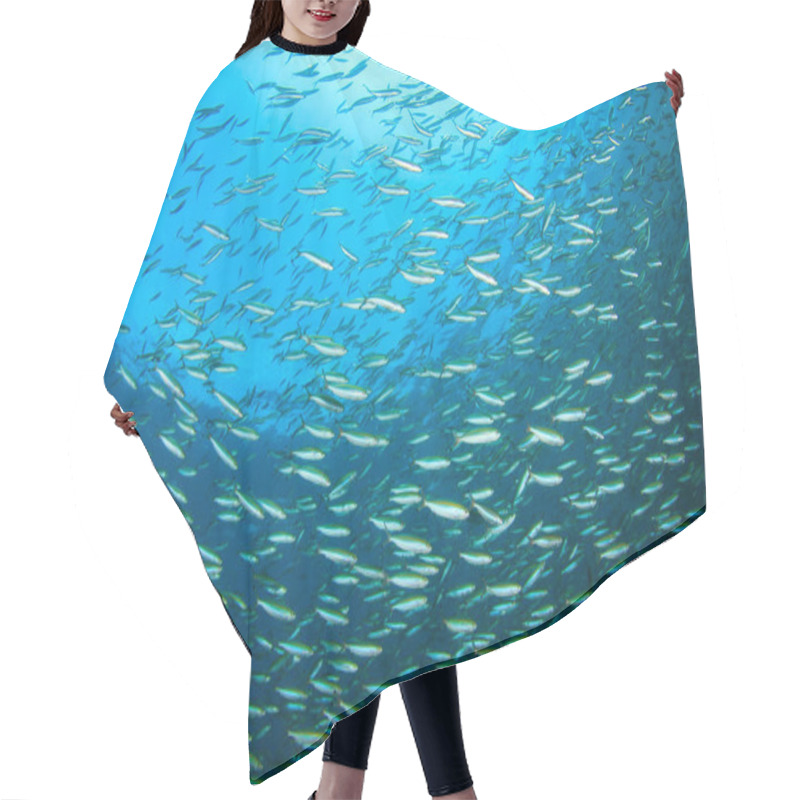 Personality  Marine Inhabitants With Underwater Scene In Deep Blue Ocean Hair Cutting Cape