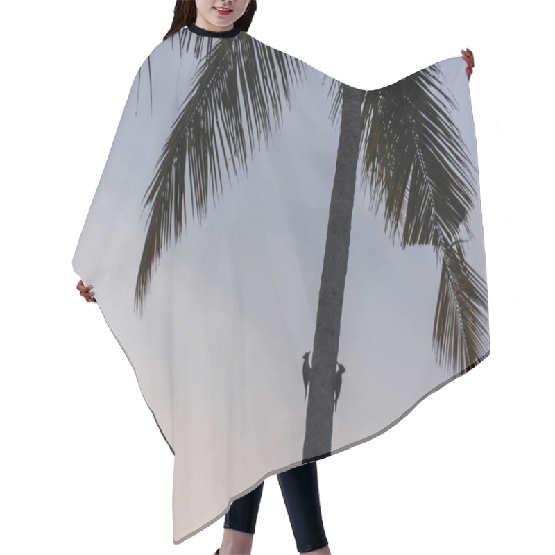 Personality  Birds Hair Cutting Cape