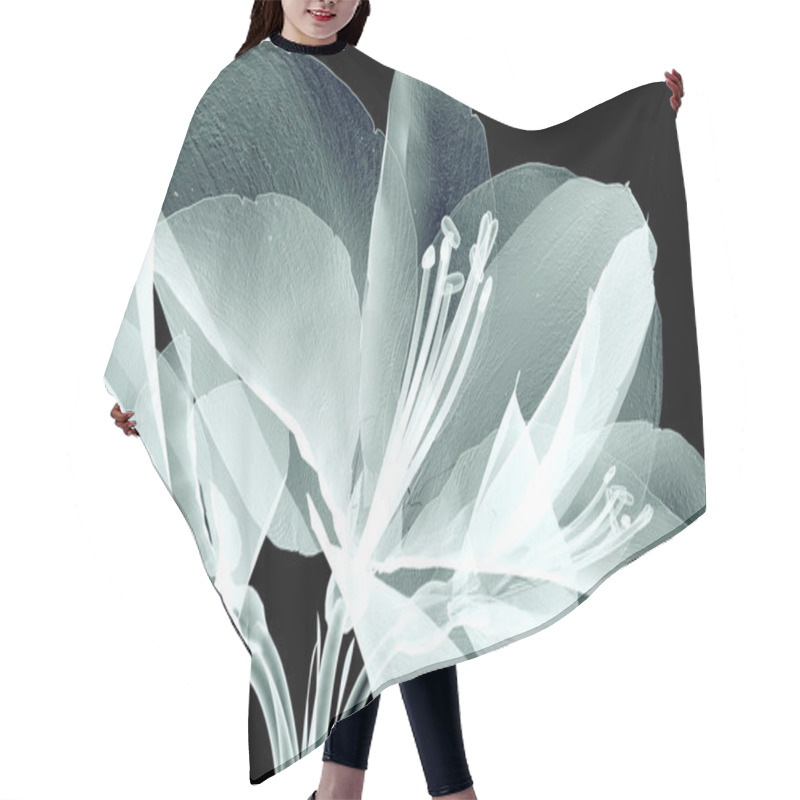 Personality  X-ray Image Of A Flower Isolated On Black , The Amaryllis Hair Cutting Cape