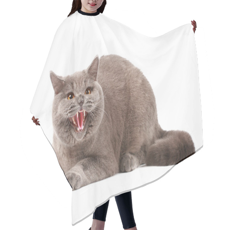 Personality  Angry Cat Hair Cutting Cape