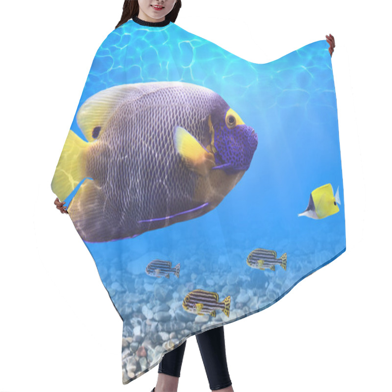 Personality  Tropical Fishes Hair Cutting Cape