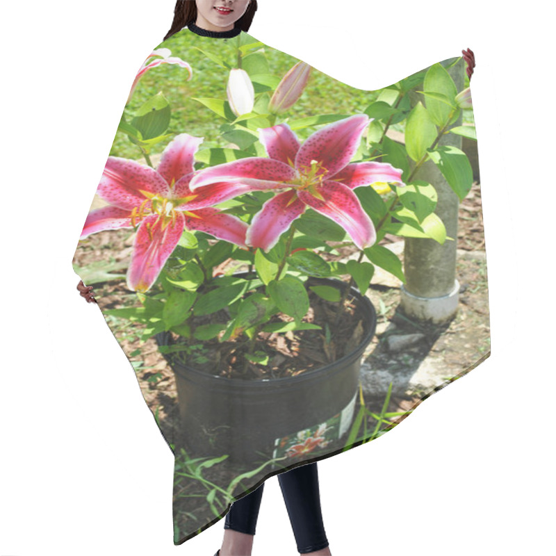 Personality  Potted Star Gazer Lily Hair Cutting Cape