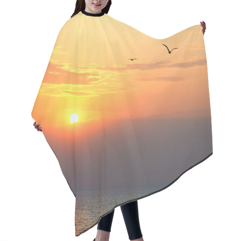 Personality  Sunset At Sea With Seagulls In Foreground Hair Cutting Cape