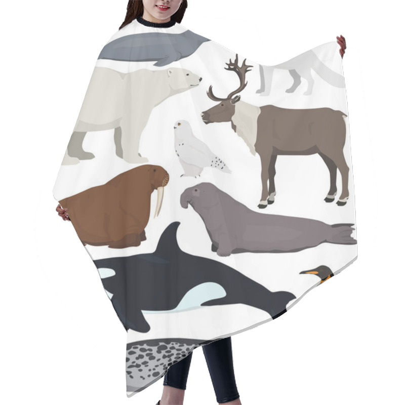 Personality  Set Of Cartoon Arctic And Antarctic Animals. Vector Illustration Of Polar Bear, Seal, Arctic Fox, Penguin, Killer Whale, Snowy Owl, Elephant Seal, Walrus, Reindeer, Narwhal. Hair Cutting Cape