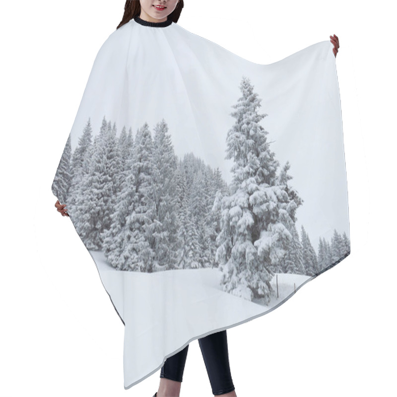 Personality  Firs In A Winter Dress. Hair Cutting Cape