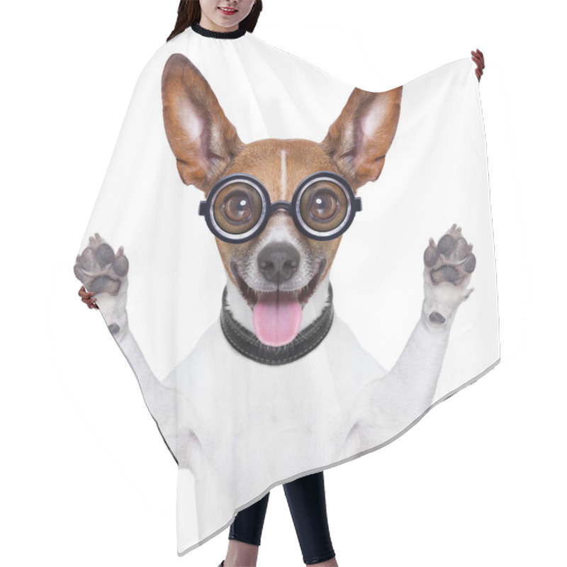 Personality  Dumb Crazy Dog Hair Cutting Cape