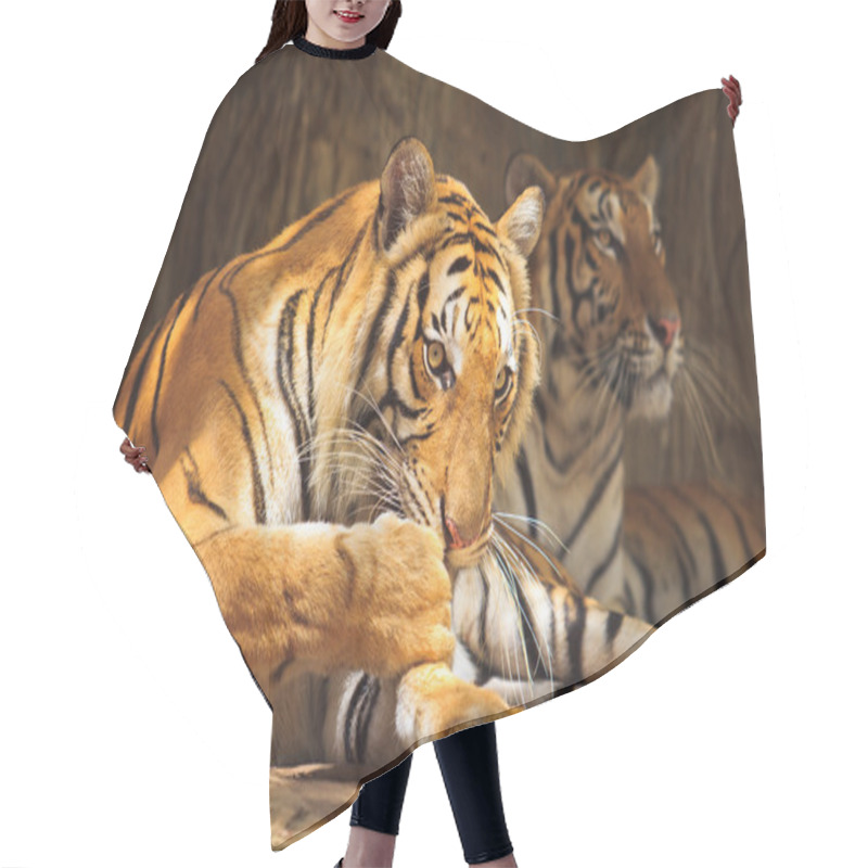 Personality  Tiger Hair Cutting Cape