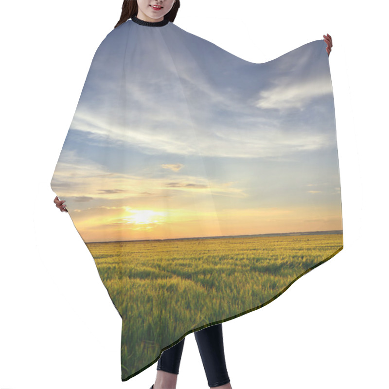 Personality  Sun At Sunset Over Barley Field Hair Cutting Cape