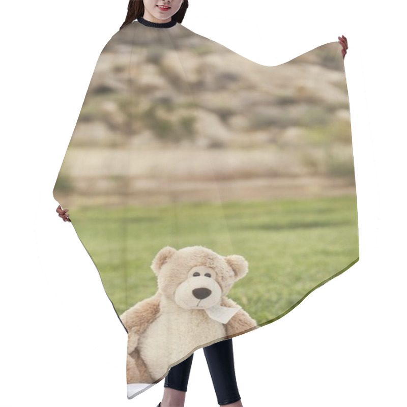 Personality  The Lovable Teddy Hair Cutting Cape