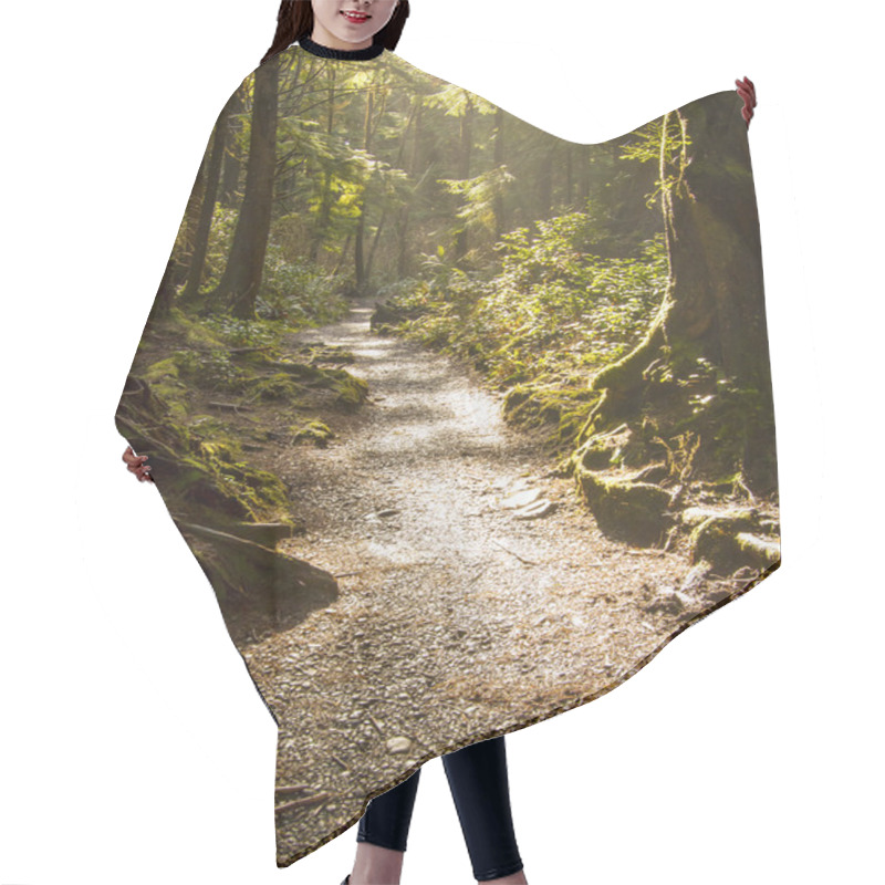 Personality  Rainforest Path Hair Cutting Cape