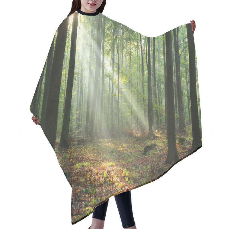 Personality  Beautiful Morning Sunbeams In Misty Forest Hair Cutting Cape