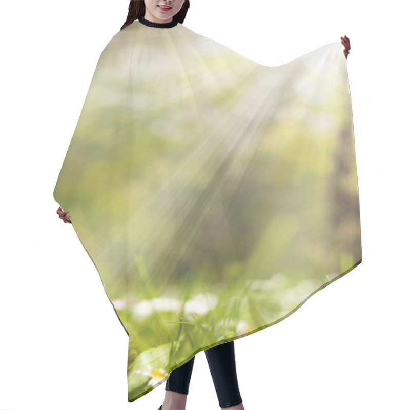 Personality  Chamomiles Hair Cutting Cape