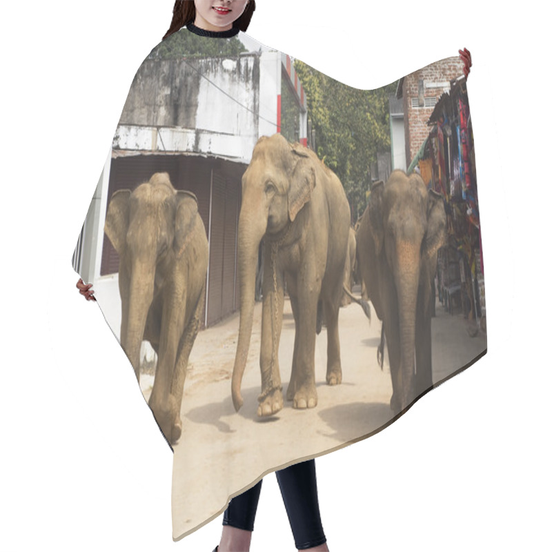 Personality  Elephants On The Srtreet Hair Cutting Cape