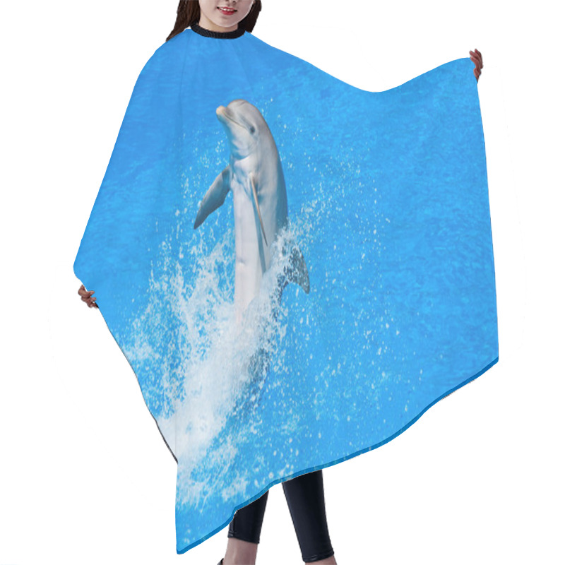 Personality  Dolphin Hair Cutting Cape