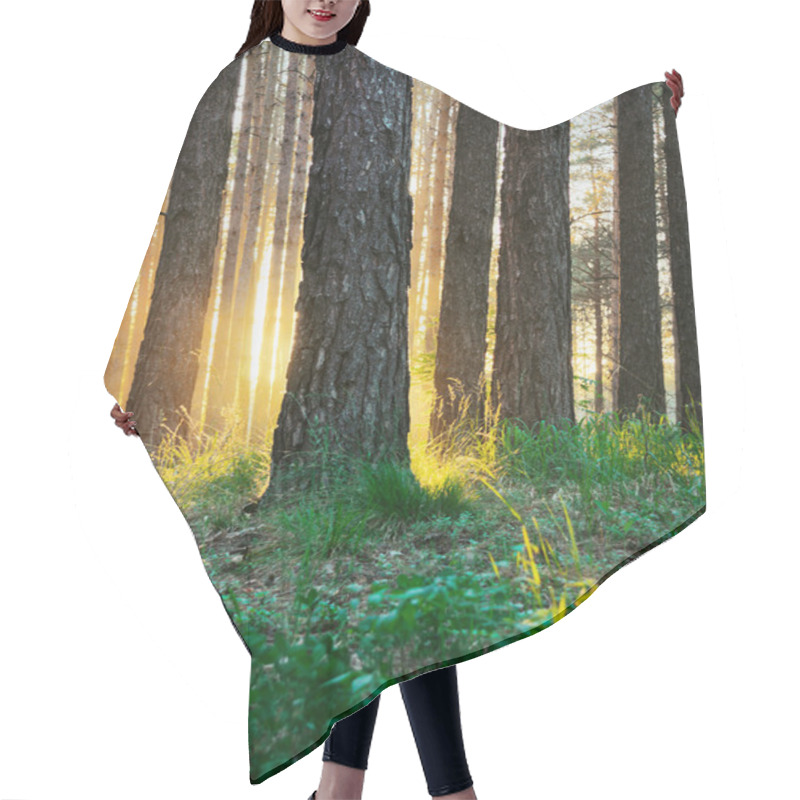 Personality  Sunset Hair Cutting Cape