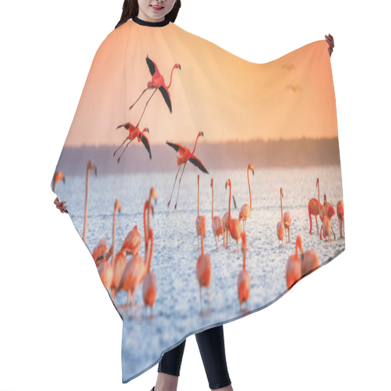 Personality  Pink Flamingos In Sun Hair Cutting Cape